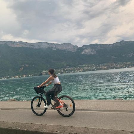 Petit Cocon Entre Lac, Golf Et Montagne, Proche D'Annecy ジエ エクステリア 写真