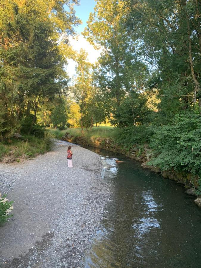 Petit Cocon Entre Lac, Golf Et Montagne, Proche D'Annecy ジエ エクステリア 写真