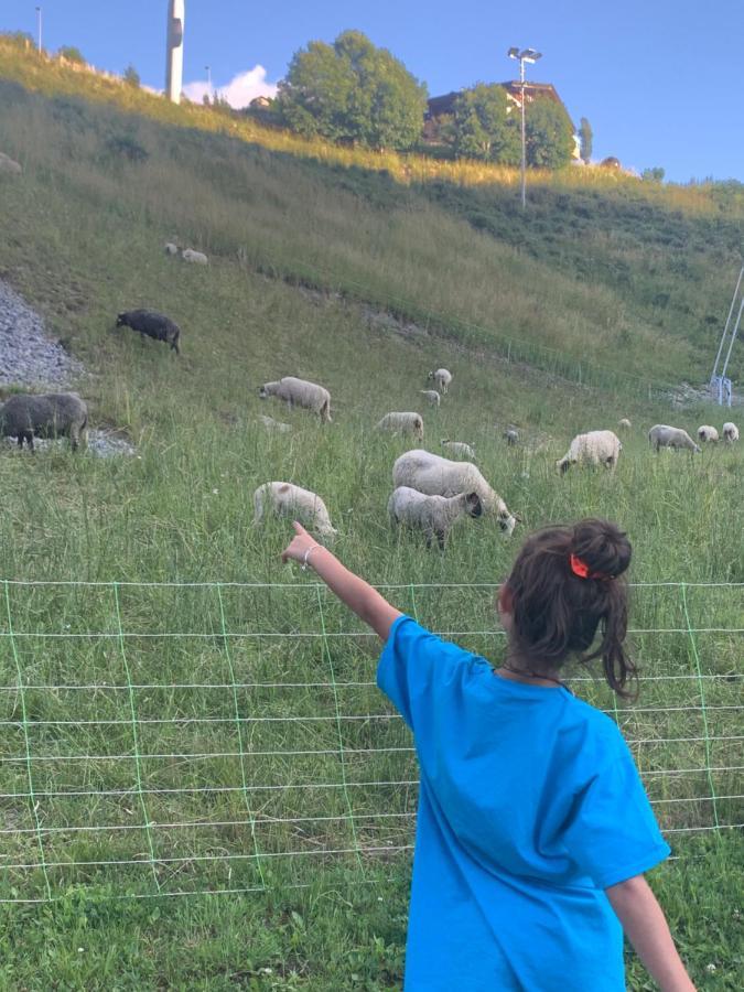 Petit Cocon Entre Lac, Golf Et Montagne, Proche D'Annecy ジエ エクステリア 写真